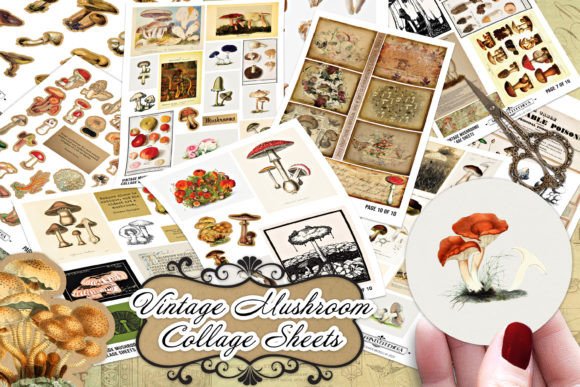 Download Vintage Mushroom Mycology Collage Sheets - Premium Resources